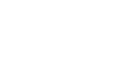 Bravo Logo